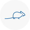 Mice Exterminators In Penzance